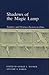 Shadows of the Magic Lamp by Eric S. Rabkin
