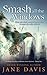 Smash All the Windows by Jane Davis