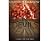Dust And Devils: An Australian Thriller Suspense Novel