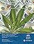 The Market for Legal Cannab...