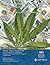 The Market for Legal Cannabis Products in the 50 United States by Patrick L. Anderson