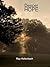 Deeper Hope: An Abiding Virtue