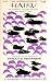 An Introduction to Haiku (An Anthology of Poems and Poets from Basho to Shiki)