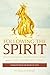 Following the Spirit: Disci...