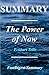 Summary | The Power of Now:...
