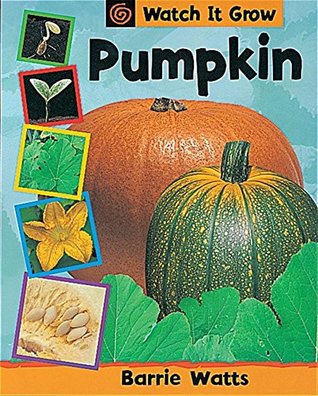 Pumpkin (Paperback)