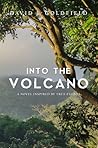 Into the Volcano