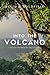 Into the Volcano