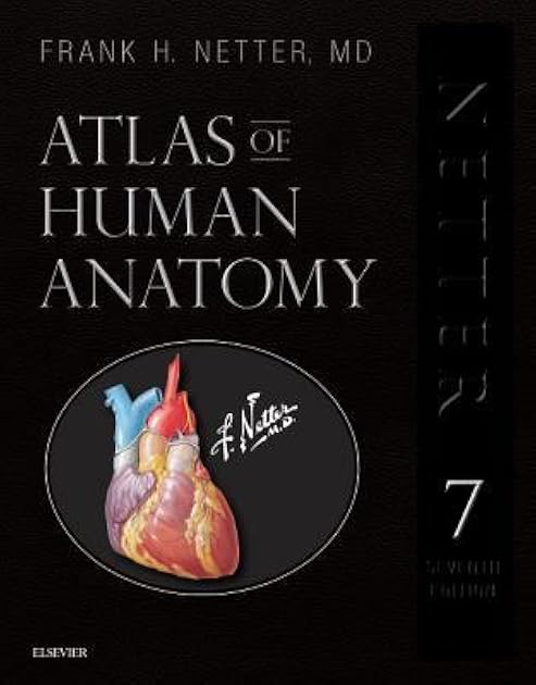 Atlas of Human Anatomy, Professional Edition: including NetterReference.com Access with Full Downloadable Image Bank (Netter Basic Science)