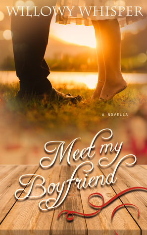 Meet My Boyfriend (ebook)