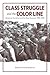 Class Struggle and the Color Line: American Socialism and Antiracism, 1900-1930