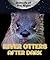 River Otters After Dark (Animals of the Night)