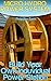 Micro Hydro Power System: B...