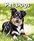 Pet Dogs (All About Pets)