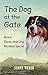 The Dog at the Gate: How a Throw-Away Dog Becomes Special