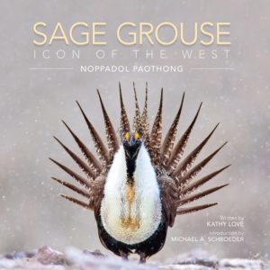 Sage Grouse: Icon of the West (Hardcover)