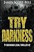 Try Darkness (Ty Buchanan Legal Thriller #2)