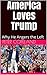 America Loves Trump by Peter Copeland