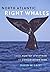 North Atlantic Right Whales: From Hunted Leviathan to Conservation Icon