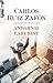 Andarnas labyrint (El cementerio de los libros olvidados, #4)