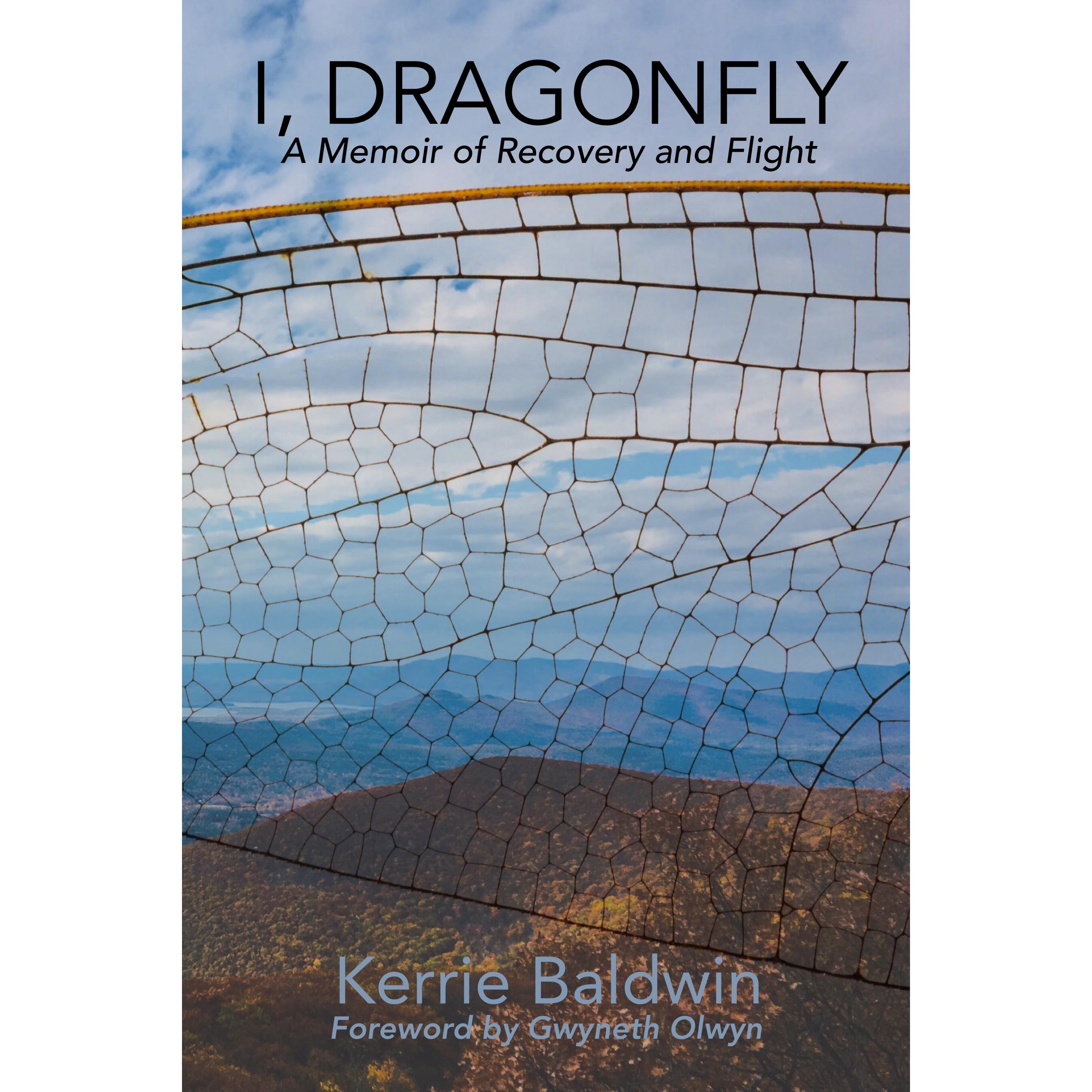I Dragonfly A Memoir Of Recovery And Flight By Kerrie Lyn Baldwin