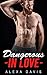 Dangerous In Love Box Set