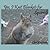 Yes, I Knit Blankets for Squirrels by Shirl Knobloch