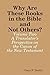 Why Are These Books in the Bible and Not Others? Volume Two: A Translator’s Perspective on the Canon of the New Testament (How Were the Books of the Bible Chosen? Book 2)