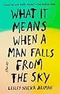 What It Means When a Man Falls from the Sky by Lesley Nneka Arimah