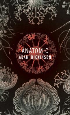 Anatomic (Paperback)