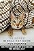 The Honest Bengal Cat Guide for Humans by Shirley O'Connor