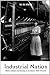 Industrial Nation: Work, Cu...