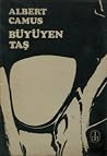 Büyüyen Taş