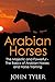 Arabian Horses by John Tyler