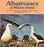 The Albatrosses of Midway Island (Carolrhoda Nature Watch Series)