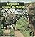 Elephants Around the World ...