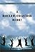A Roller Coaster Ride! by Saumil Shrivastava