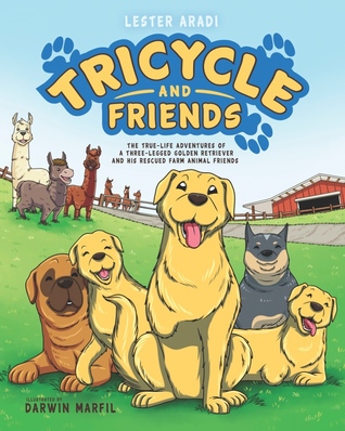 Tricycle and Friends (Hardcover)
