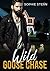 Wild Goose Chase by Sophie Stern