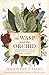 The Wasp and The Orchid: Th...