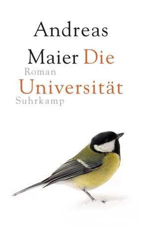 Die Universität