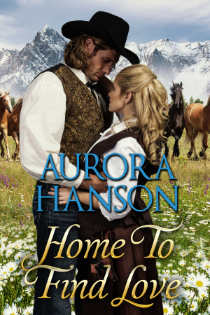 Home to Find Love (ebook)