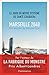 Marseille, 2040. Le jour où notre système de santé craquera by Philippe Pujol