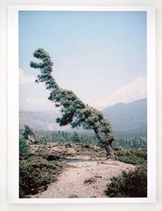 Some Windy Trees