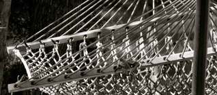 Three Friends In a Hammock