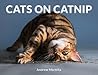 Cats on Catnip