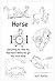 Horse 101: Everything You W...