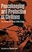 Peacekeeping and Protection of Civilians by Rajesh Isser