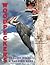 Woodpeckers: Drilling Holes...