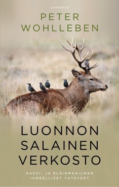 Luonnon salainen verkosto : kasvi- ja eläinmaailman ihmeelliset yhteydet
